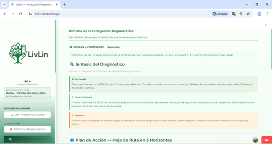 Plan de acción
