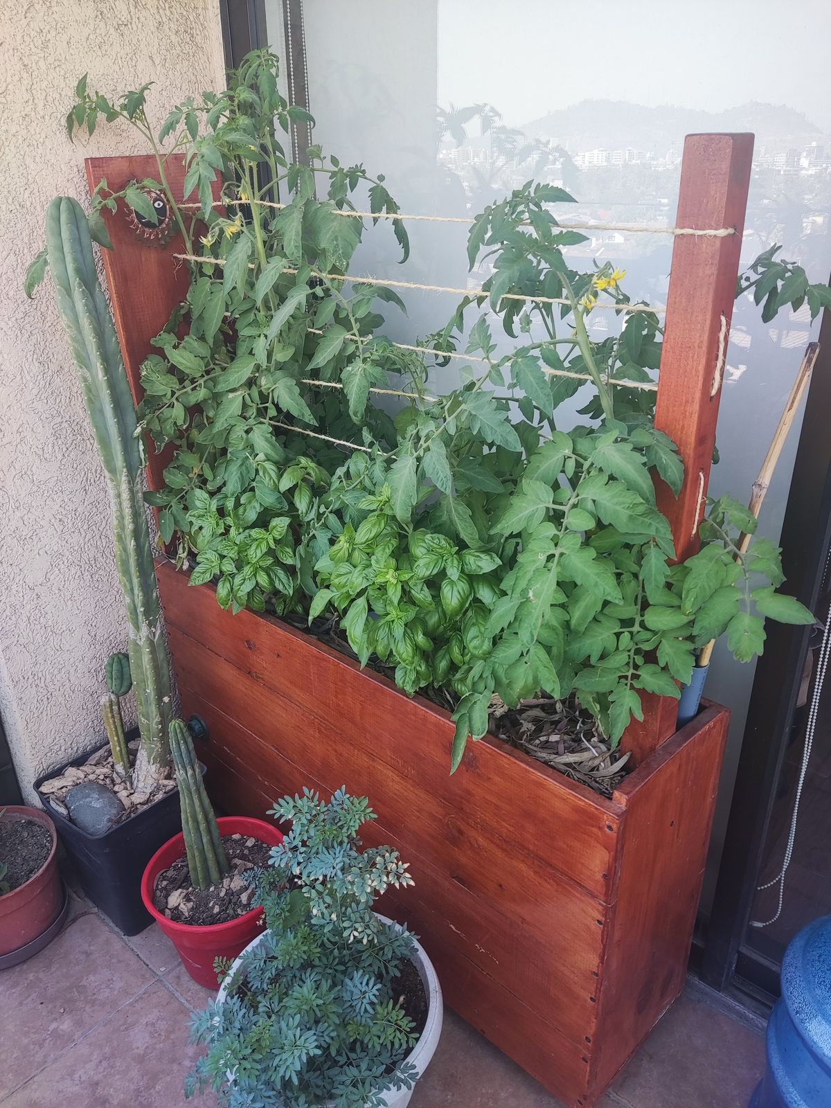 Detalle del sistema de riego y sustrato del bancal