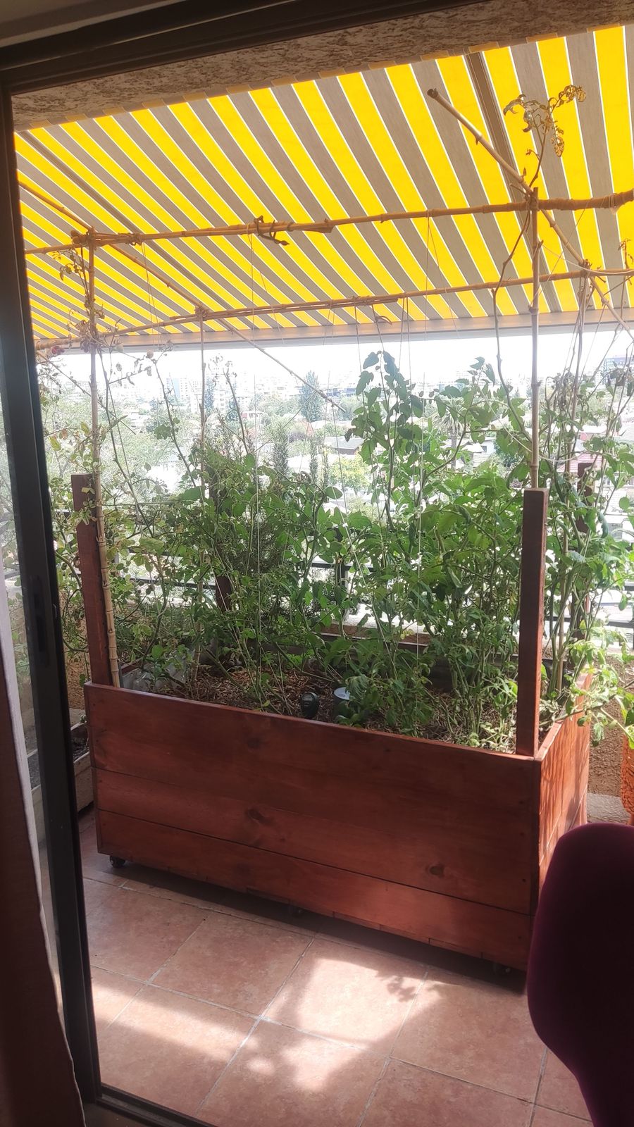 Huerto autosustentable con cultivo en desarrollo