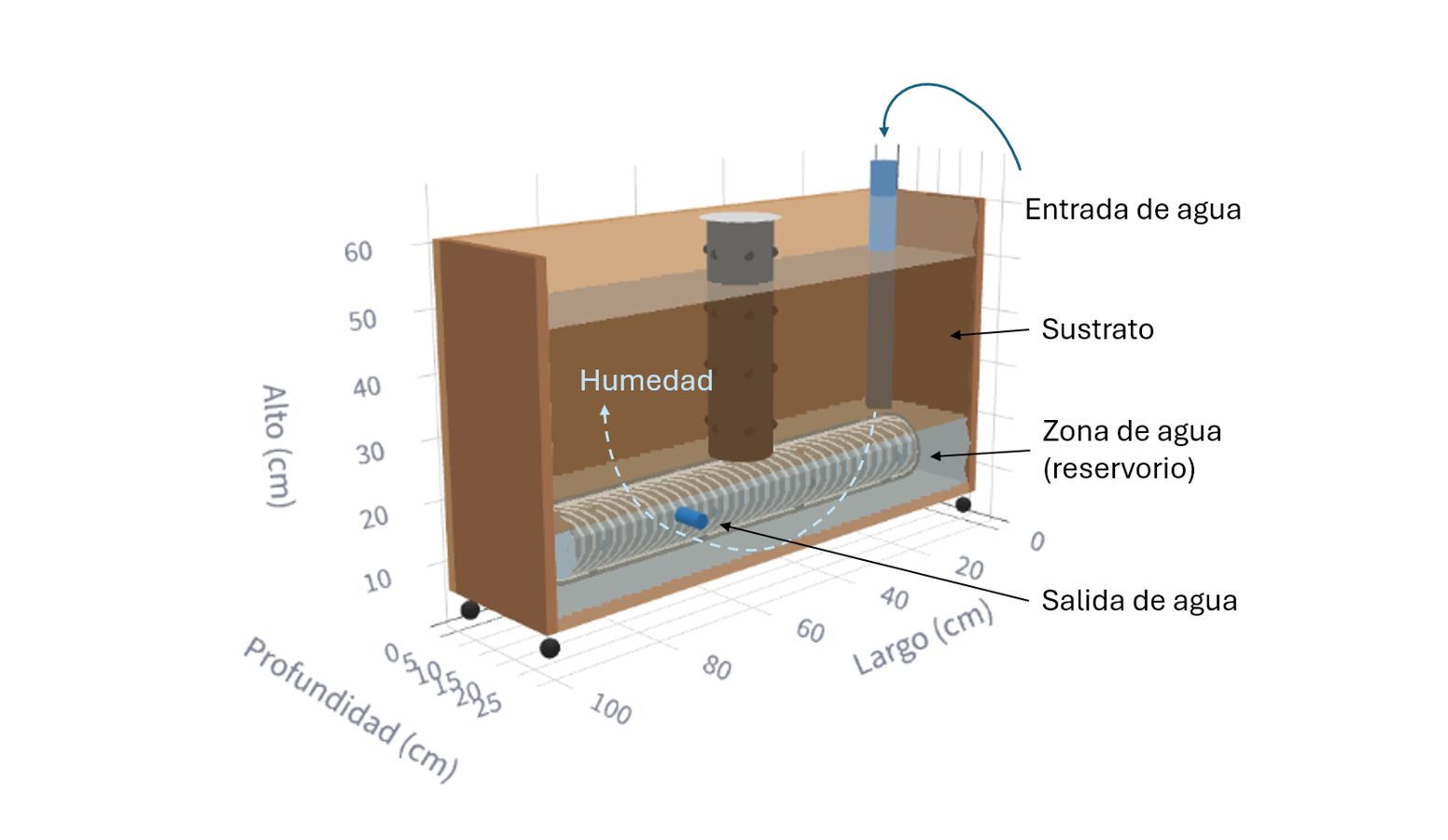 Diagrama del riego por capilaridad: reserva de agua bajo el sustrato
