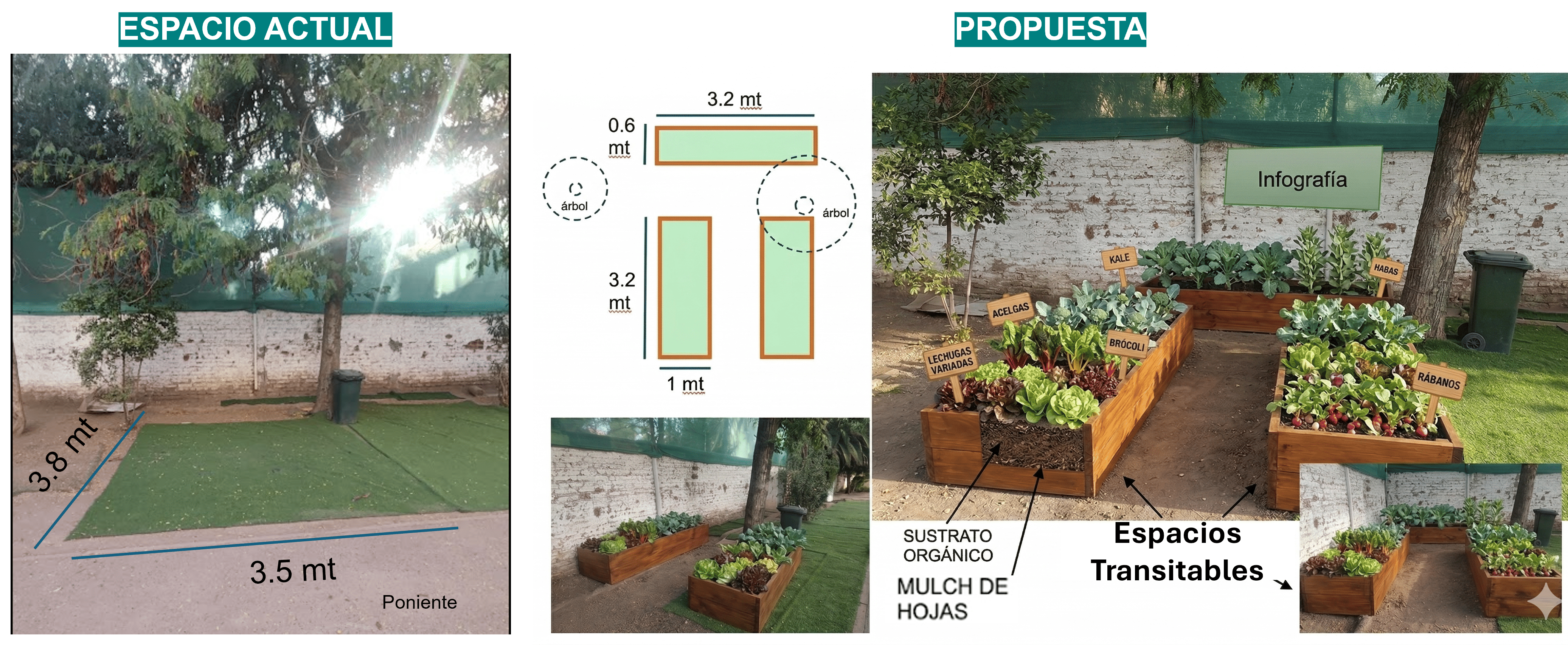 Liceo Manuel de Salas — plan maestro huerta