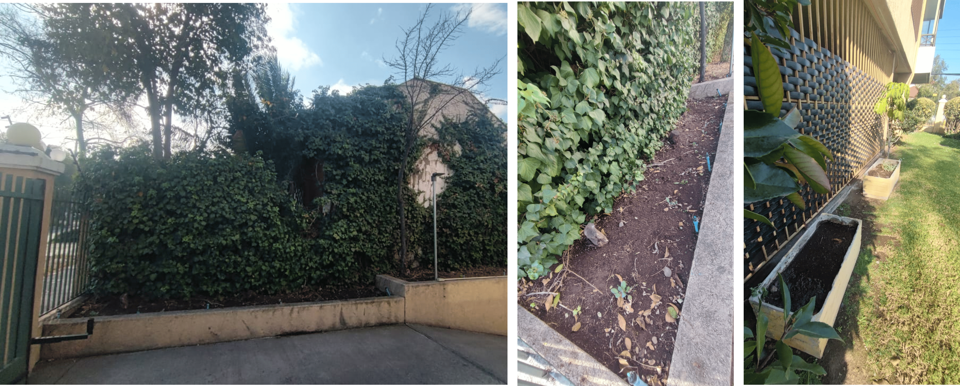 Edificio Nova — huerta comunitaria