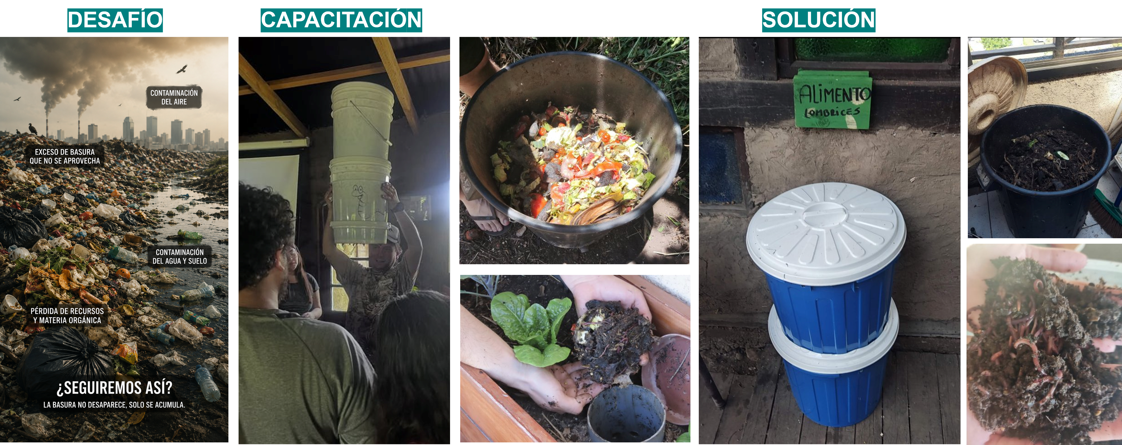 Sistema de lombricultura