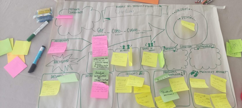 Facilitación organizacional